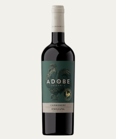 adobe-organico-cr